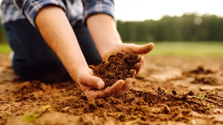 Roland Barthes grado zero scrittura coltivare terra