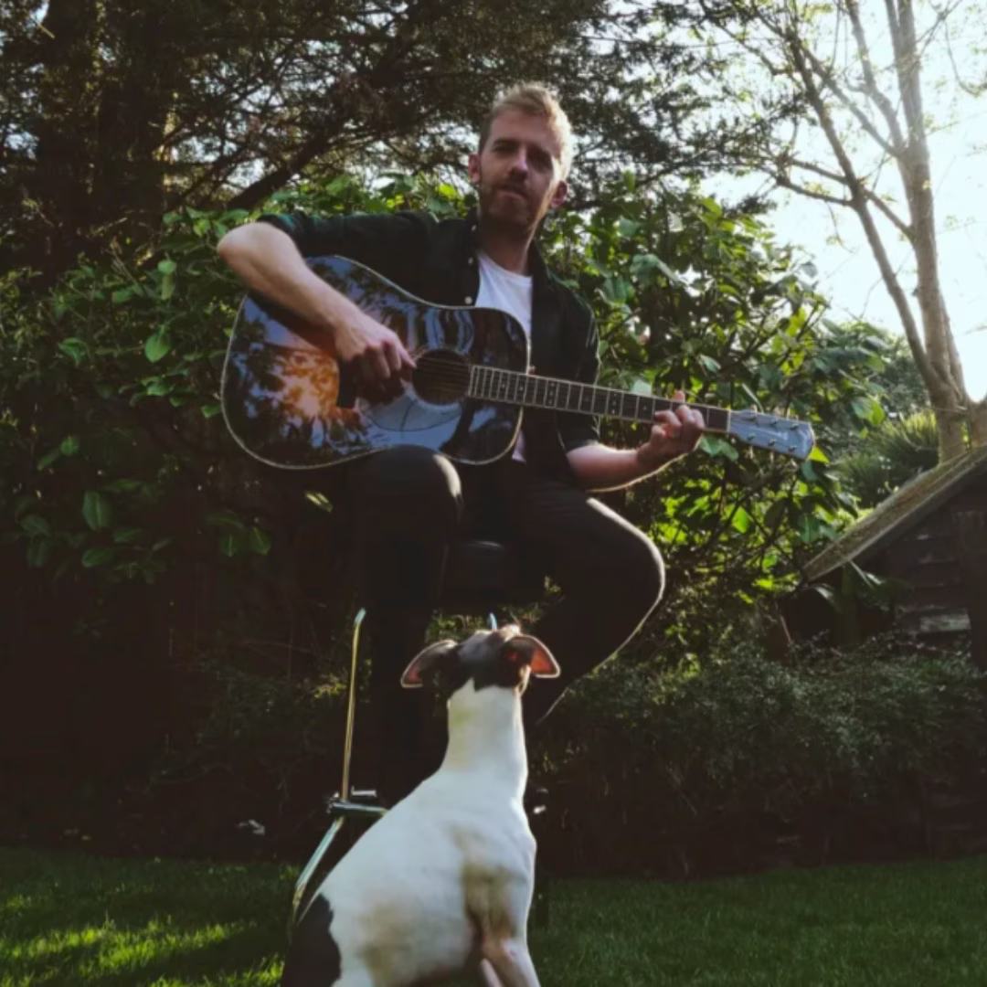 canzoni dalla natura indigo