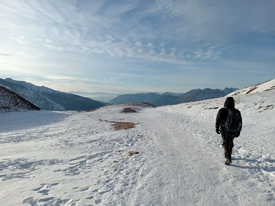 movimento e scrittura pale di san martino