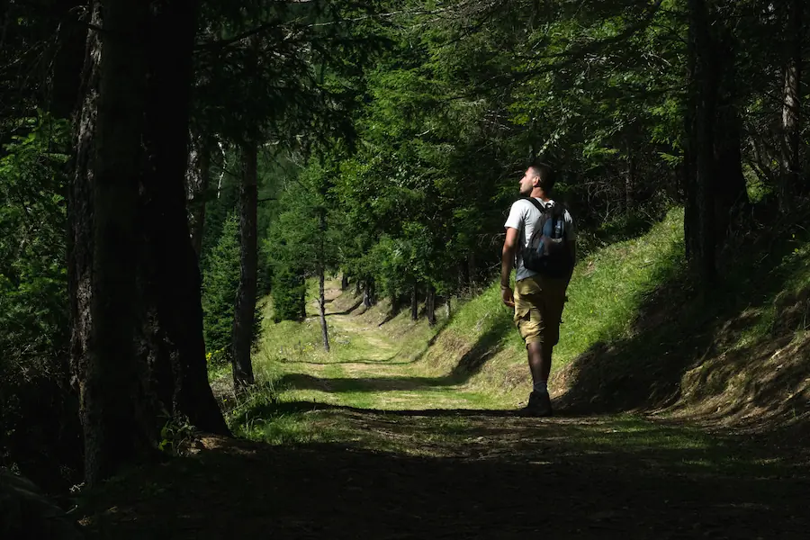 sentiero di montagna camminata nella natura del Trentino